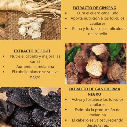 Covergray™ Suero Elimina Canas con Ganoderma